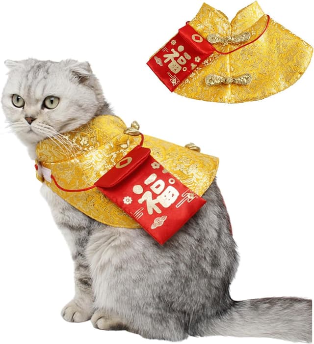 Thumbnail 6 de BT Bear Dog Chinese New Year Costume (L, Gold) – Chinese Knot Buttons Tang Suit with Neck Strap Scarf