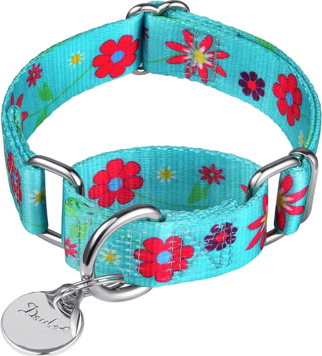 Thumbnail 5 de Martingal Halsband 25 mm M, Orange/Gelb