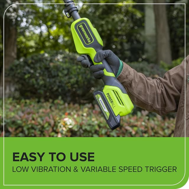 Thumbnail 6 de Greenworks Potatore 24V 2,68 m