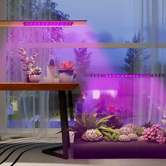 Thumbnail 6 de FenglinWisdom Grow Light for Indoor Plants