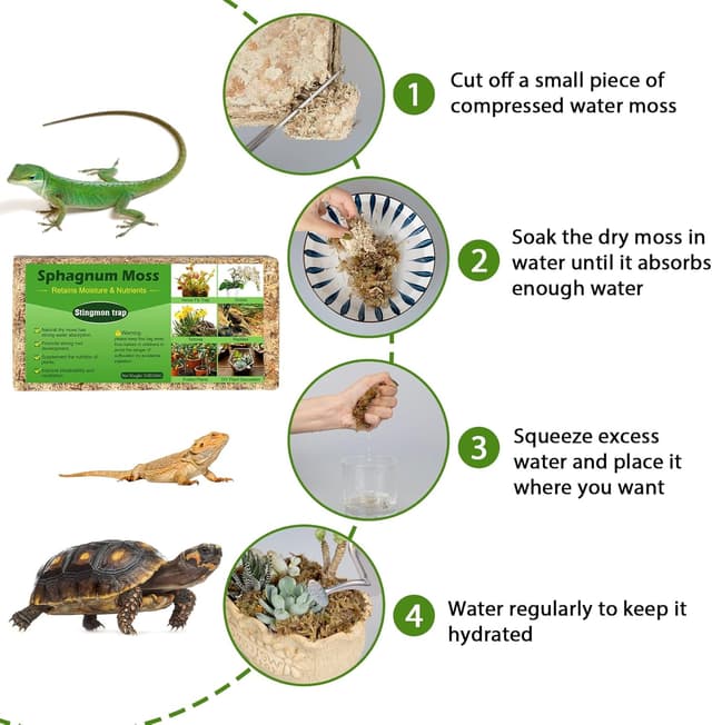 Thumbnail 3 de 200g Sphagnum Moos für Orchideen 200g