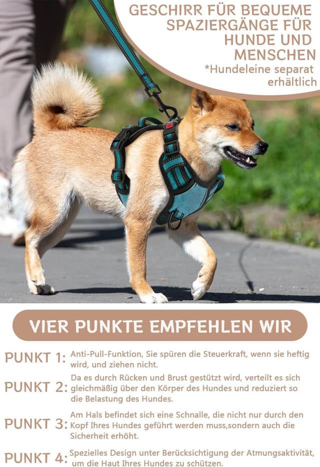 Detalle de BaoCheng Hundegeschirr Anti-Zug mit reflektierenden Elementen, Mesh-Rückenteil und 3 Schnallen (Größe M)