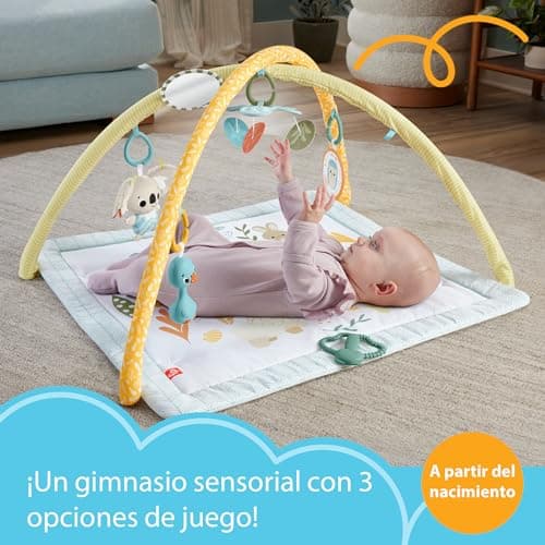 Detalle de Fisher-Price Sensimals Simply Senses, alfombra 6