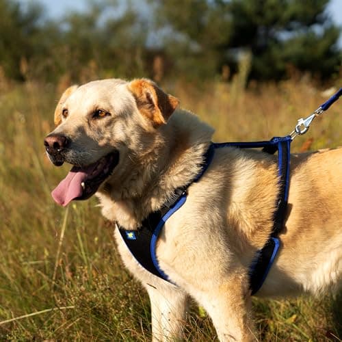 Detalle 2 de Ferplast Arnés ERGOCOMFORT Large para perros ajustable