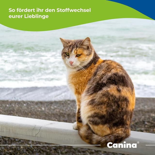 Detalle de Canina Lachsöl 250 g