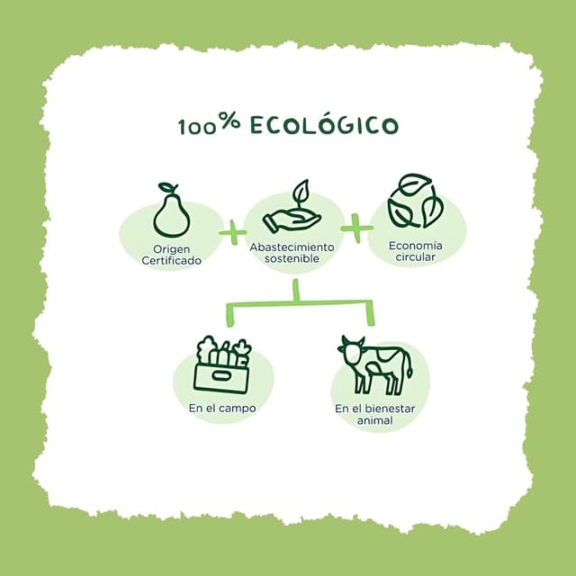 Thumbnail 7 de Hero Solo - Pack Galletas Ecológicas 🍪 Sin Aceite de Palma, 8 Meses