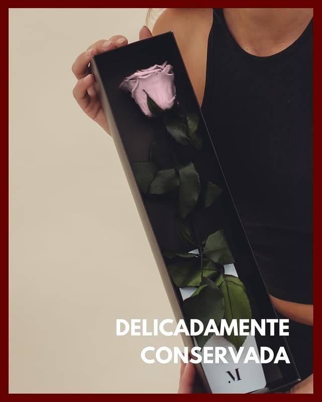 Thumbnail 3 de Mia Milano Infinity Rose Rosa en Caja de Regalo 🌹