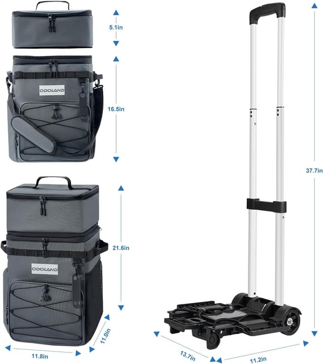 Detalle 2 de Odoland chariot glacière isotherme à roulettes (jusqu’à 72 boîtes) avec sac amovible et packs de glace