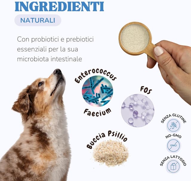 Detalle de Lamina Care Probiotici per cani con 1 miliardo UFC: supporto digestivo per gas e infiammazione