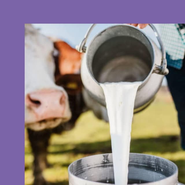 Thumbnail 4 de Milka Choc & Choc 150g bizcochos 🍫