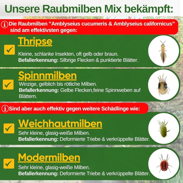 Thumbnail 1 de GREEN GUARDIA Power Raubmilben Mix 6 Tüten