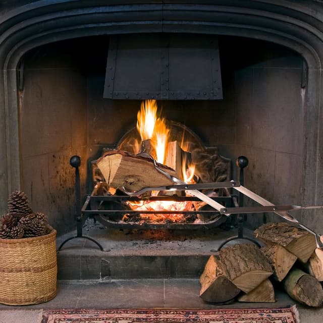 Thumbnail 6 de Uten pinze per caminetti in acciaio inox, lunghe 64 cm (25,2”): per legna e carbone, uso interno ed esterno