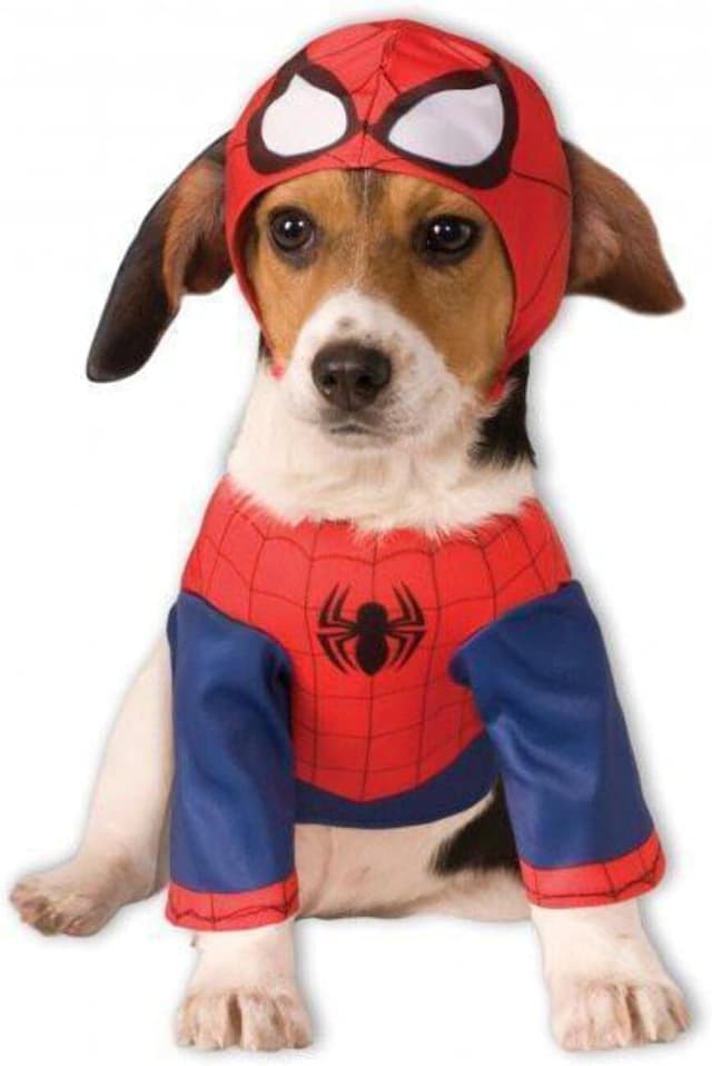 Detalle de Rubie s Spider Man pet costume Medium
