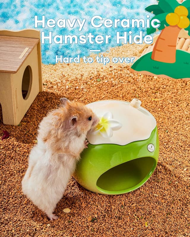 Thumbnail 6 de BUCATSTATE Hamster Versteck 15×15×13,5 cm 🐾