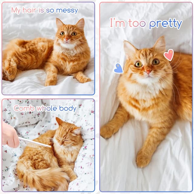 Thumbnail 5 de Nobleza 2-en-1 peigne toilettage 17 cm đŸ