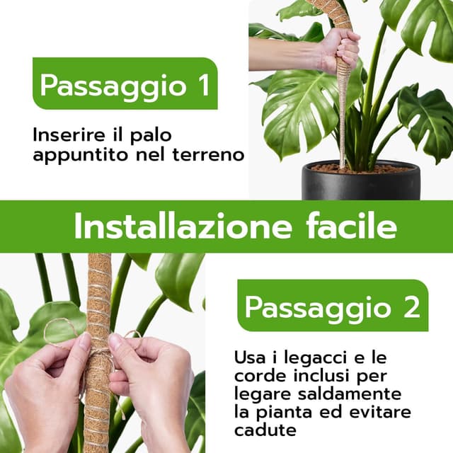 Detalle de Wigearss 2 pezzi bastoni di muschio in fibra di cocco (cocco coir moss pole) pieghevoli da 60 cm per piante rampicanti