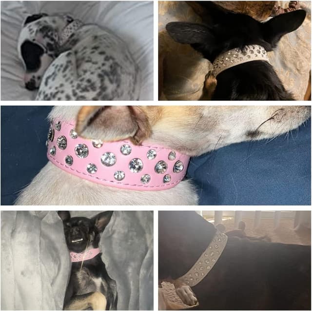 Thumbnail 4 de Rhinestone Dog Collar Adjustable PU Leather