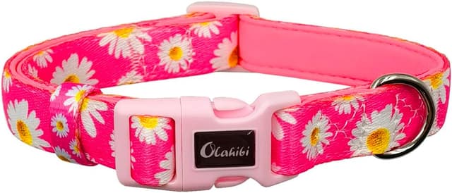 Detalle de Olahibi Basic Dog Collar (S) Padded Neoprene Polyester Webbing with Daisy Pattern