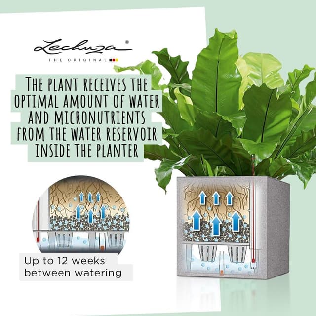 Thumbnail 2 de Lechuza Cube Triple Rosso 13672