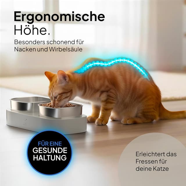 Detalle 2 de Pretty Paw Erhöhter Katzennapf Doppel 1️⃣