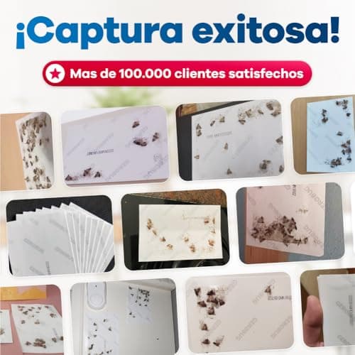 Detalle de Gerobug Trampa para Polillas de Alimentos con feromonas (10 unidades) sin veneno