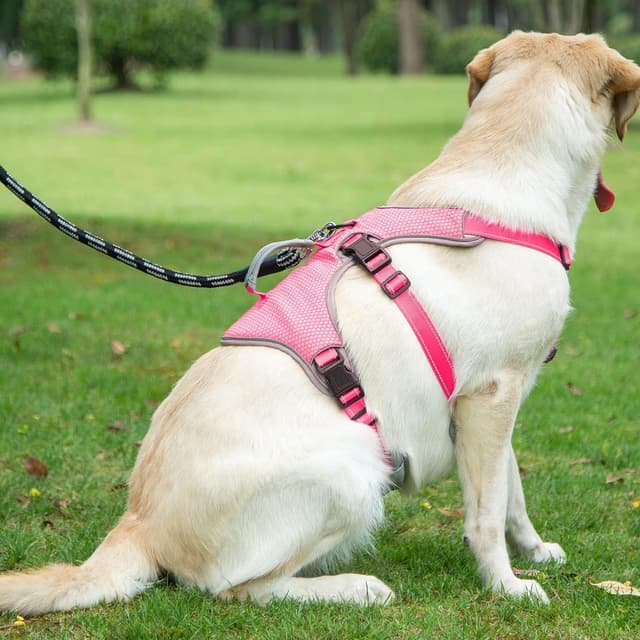 Thumbnail 6 de BELPRO Multi-Use Support Dog Harness L Pink