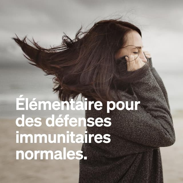 Detalle de Gélules d’extrait de camu camu – vitamine C – 180 gélules véganes (500 mg par gélule)