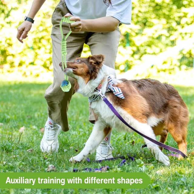 Thumbnail 6 de ZONJIE 9er Hundespielzeug-Set aus Baumwollseil – Kauspielzeug gegen Möbelbeschädigung