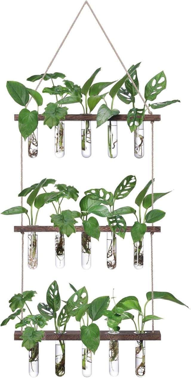 Detalle de XXXFLOWER Wall Hanging Propagation Station 15 test tubes