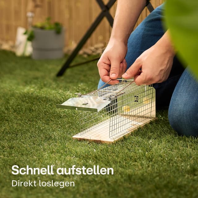Detalle 2 de Praknu Lebendfalle für Ratten und Mäuse, 30 cm aus FSC®-Holz – wiederverwendbar & tierfreundlich
