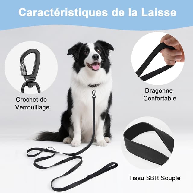 Detalle 2 de Longe pour chien étanche 1,8 m à 30 m – laisse de dressage avec poignée et crochet verrouillable