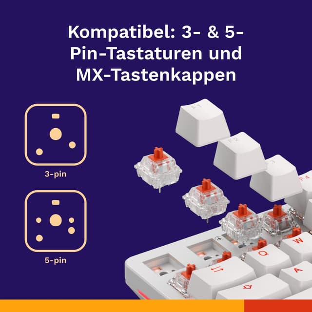 Thumbnail 4 de GLORIOUS Fox Linear Switches 110er Pack