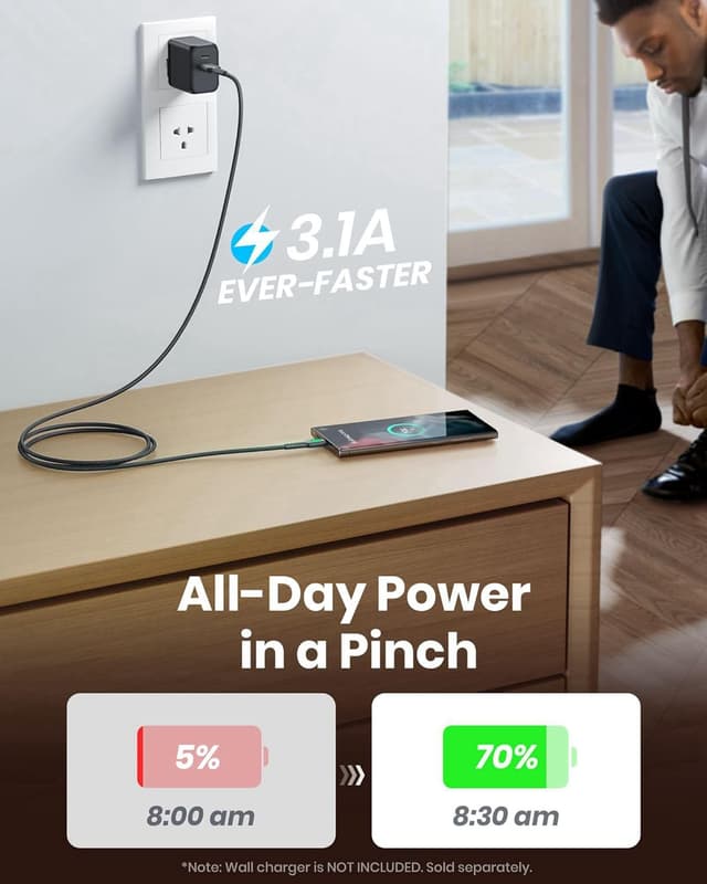 Detalle 2 de INIU USB to C Fast Charge 3.1A Cable