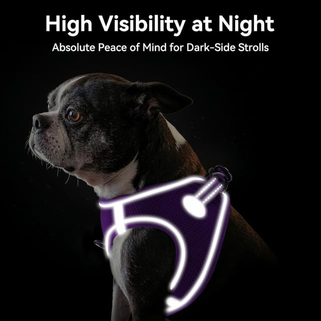 Detalle 1 de Joytale Step in Dog Harness (XS, Purple) – soft mesh reflective easy-walk harness for extra small dogs