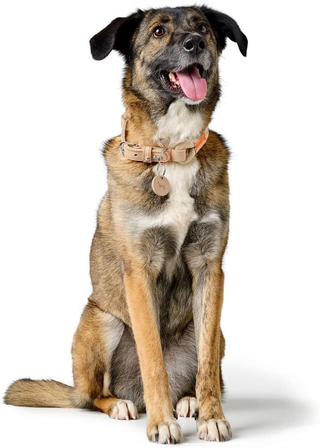 Thumbnail 6 de HUNTER Hundehalsband Malia apricot/Natur, aus Tau & Leder, Größe 65 (Made in Germany)