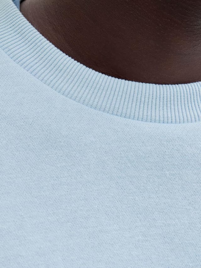 Detalle 1 de JACK & JONES Male Sweatshirt Einfarbig Sweatshirt