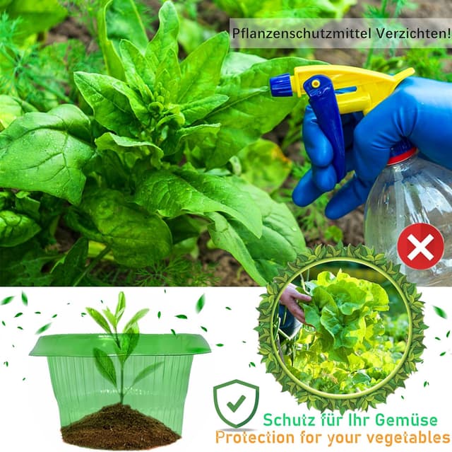 Detalle 2 de Schneckenkragen / Schneckenzaun (12 Stück) zum Schutz von Salat- und Kohlpflanzen, Ø 24 cm, grün