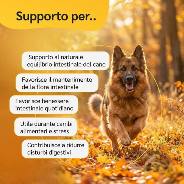 Detalle de amusi Probiotici per Cani da 30 compresse con fermenti lattici e inulina