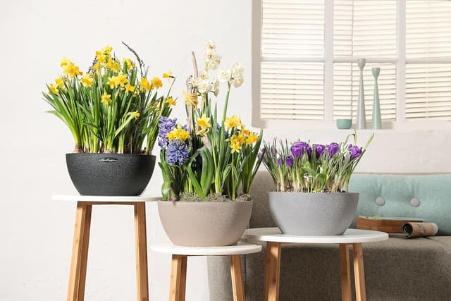 Thumbnail 5 de Lechuza CUBETO Color 30 Komplettset sandbeige