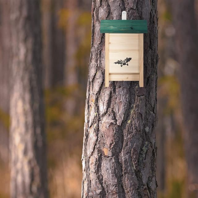 Detalle de Relaxdays nature abri Ă chauve-souris 25,5 cm đ