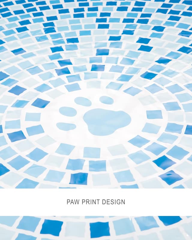 Thumbnail 1 de INTEX 48400EP Foldable Dog Pool for Pets 60in x 12in 🐶💧