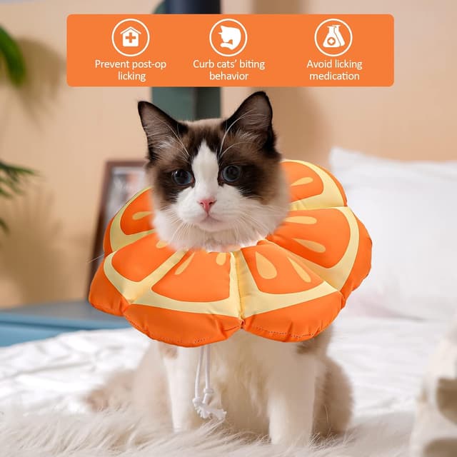 Detalle 2 de Avont Cat Cone Collar Soft (Mandarin) – adjustable pet recovery collar for cats, kittens & small pets, size S