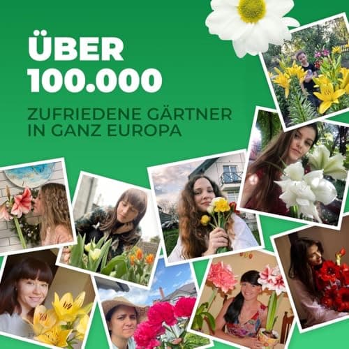 Thumbnail 6 de DUTCH BULBS EXCLUSIVE PLANTS FROM HOLLAND Bulbos de tulipán Super Collection 50 piezas 🌱