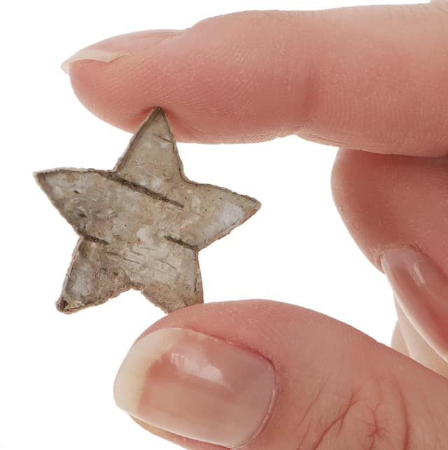 Thumbnail 4 de COM-FOUR® Ensemble confettis bois 100 pièces 🎉