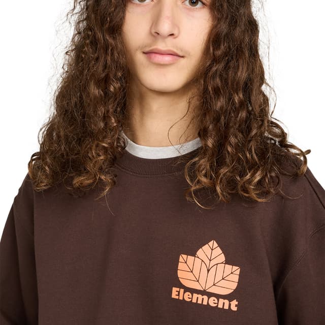 Detalle de Element Sporting Cr Element Sudadera hombre