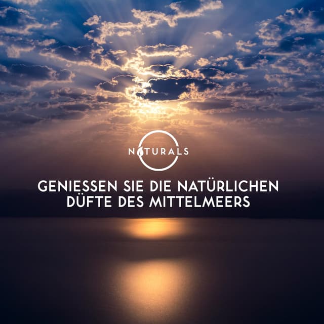 Thumbnail 6 de O Naturals Seife für Männer (afrikanische Schwarze, Zedernholz, Minze) – 3er Set, 7.7 oz