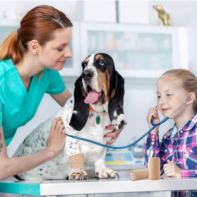 Thumbnail 5 de Tigratigro Vendaje Elástico Autoadhesivo 6 Rollos