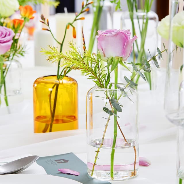 Detalle de ZENS Small Glass Vase Set of 6 – clear bud vases for table centrepieces and small flower arrangements