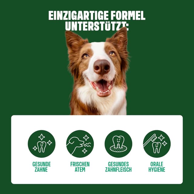 Thumbnail 4 de ivvi Dental Zahnhygiene-Snacks 60 Stück