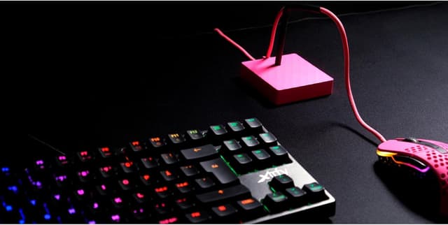 Thumbnail 5 de Xtrfy B4 Souris Bungee Pink